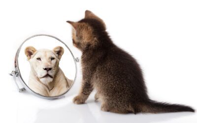 How to improve your self-awareness
