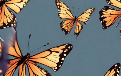 How to make your life take off in ways you can’t imagine