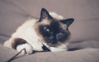 Seven steps: How to find career happiness