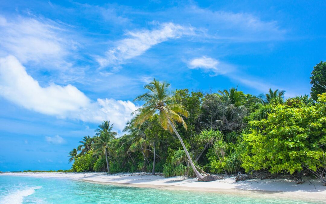 A serene tropical beach scene with coconut palms, white sand, and clear water under a bright blue sky.