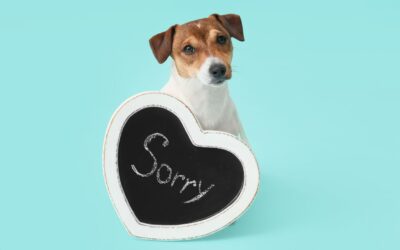 How to communicate clearly and without apologising