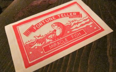 When I grew up I wanted to be a…..