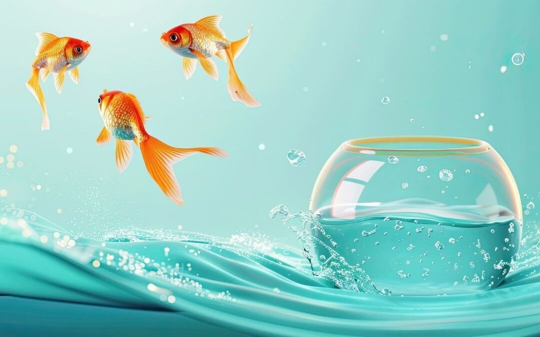 Losing your career identity: stepping out of old and into the new