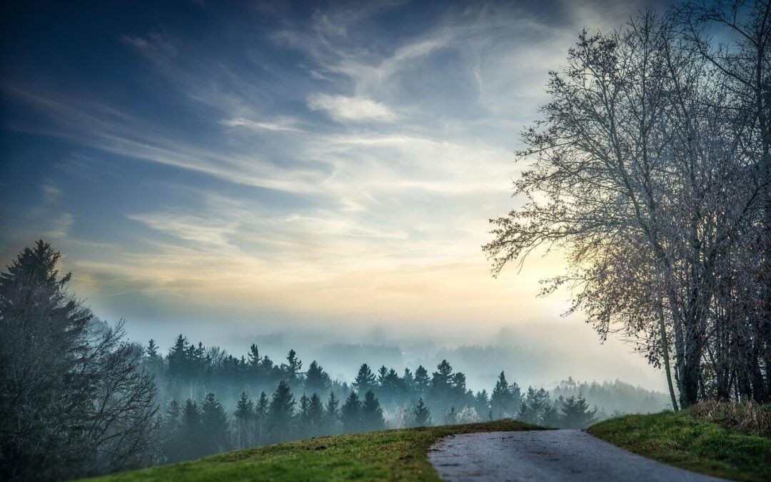 road, pathway, trees, forest, sunset, fields, meadow, nature, sky, cirrus, path, woods, dusk, landscape, road, road, road, road, road, pathway, forest, path, path